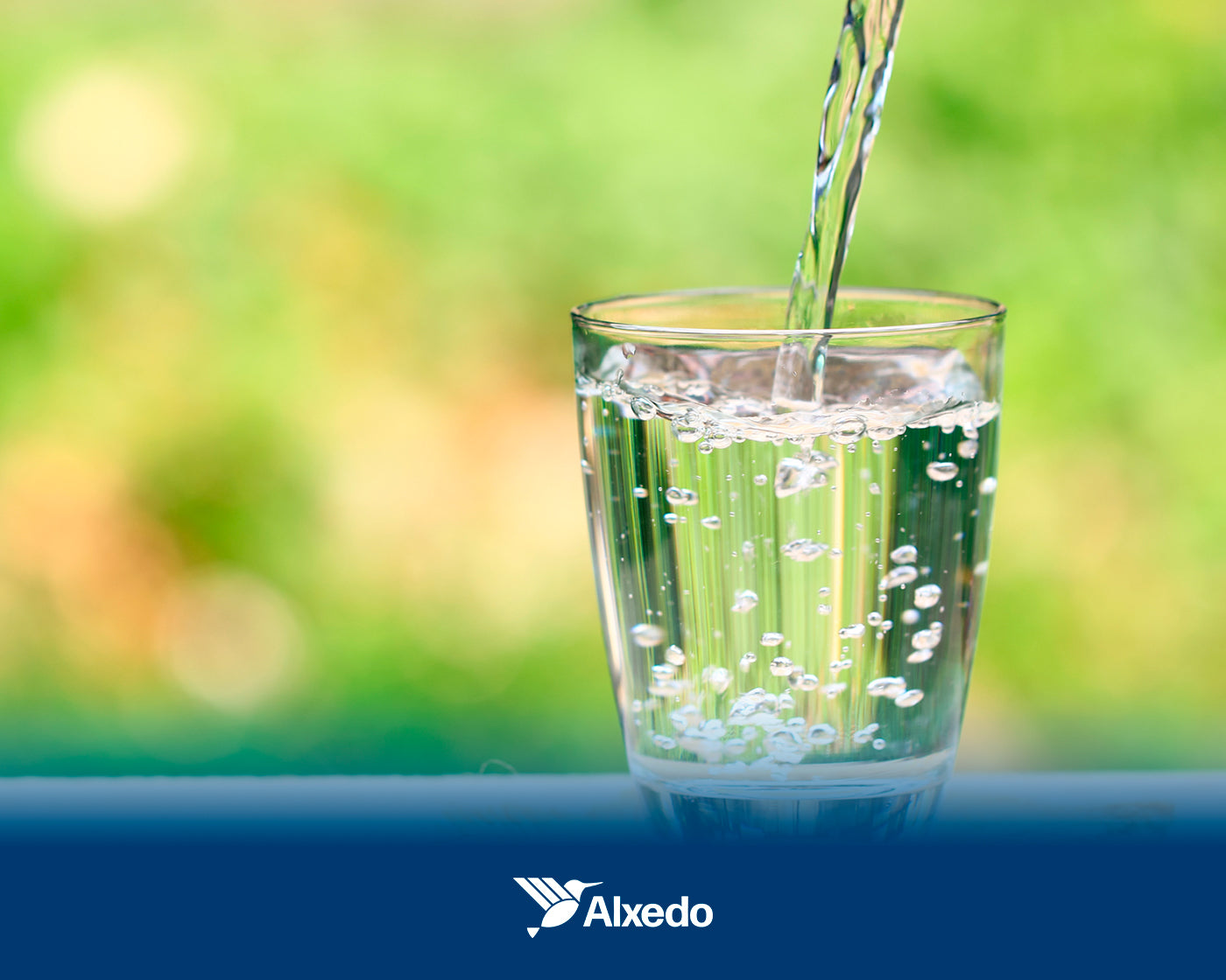 Todo Lo Que Necesitas Saber Sobre El Agua Filtrada Y Purificada – Alxedo