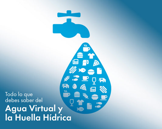 Todo lo que Debes Saber del Agua Virtual y la Huella Hídrica.